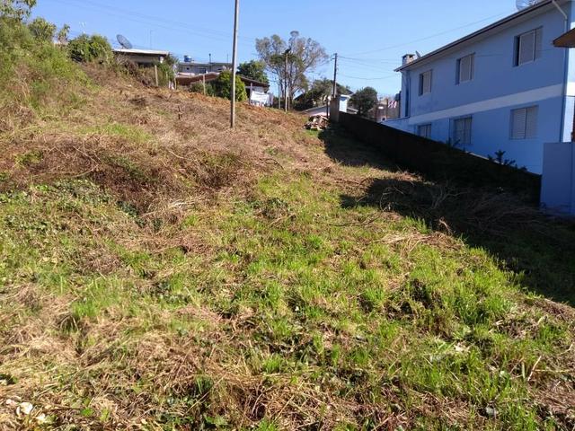 Terreno Jardim Iracema - Foto 4