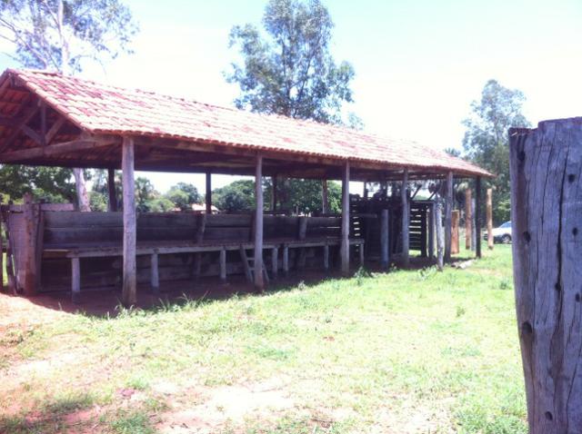 Fazenda 220hec chapada, agua fria MT 020 - Foto 9