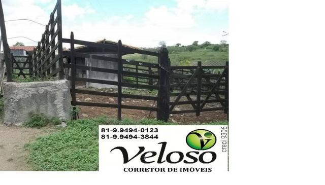 Oportunidade!! Sitio a 6 km da Cidade, 17 Contas de Terra,em Gravatá-PE - Foto 7