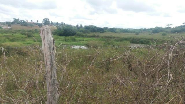 Escada=Vend. 7 mil por Hect=140 Hect=Todos plantado em Cana de Açúcar, só vendemos tudo - Foto 4