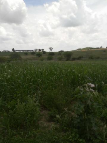 Feira Nova=Vend. 15 mil por Hect=Fazenda com 100 Hectares=Pronta pra Criação de Gado - Foto 12