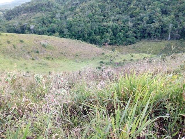 Fazenda em Ubaira-BA - Foto 10