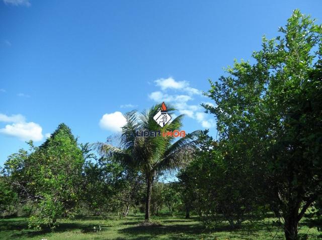 Líder imob - sitio rural para venda, pojuca, 55.000,00 m² - Foto 4