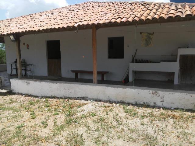 Feira Nova=Vend. 15 mil por Hect=Fazenda com 100 Hectares=Pronta pra Criação de Gado - Foto 19