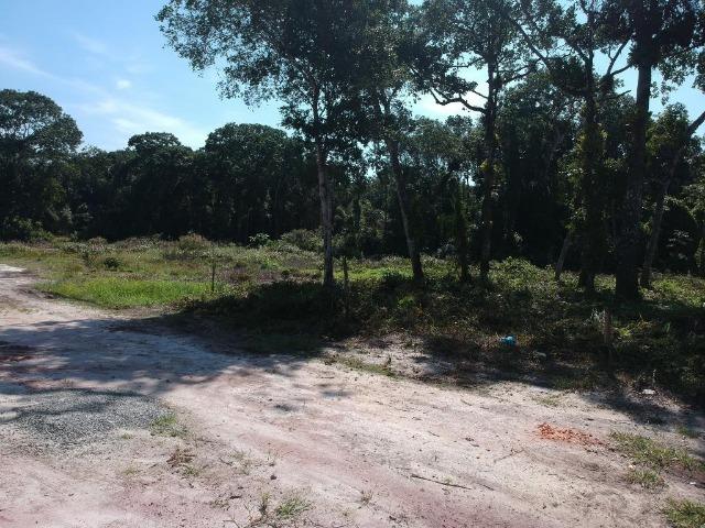 Terreno em Itapoá SC - Foto 12