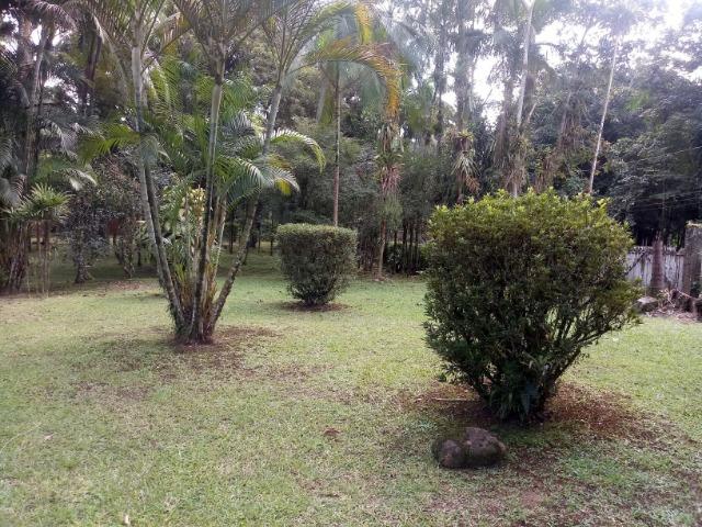 Terrenos - Porto de Cima - Morretes - Foto 19