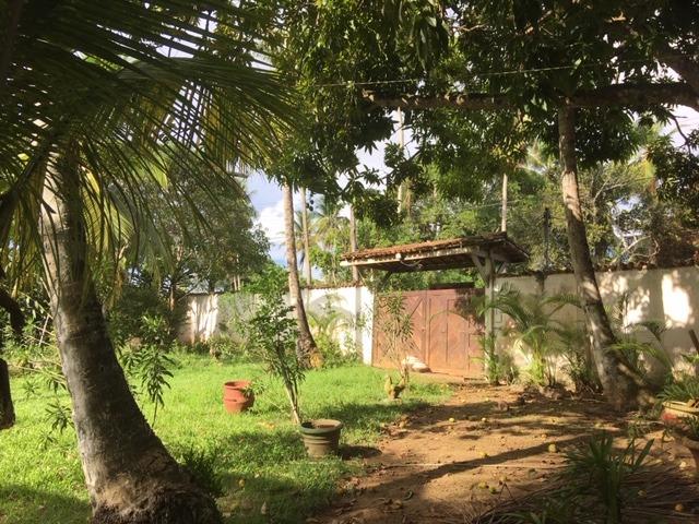 Sitio Cassange com 5132 de área - Foto 3