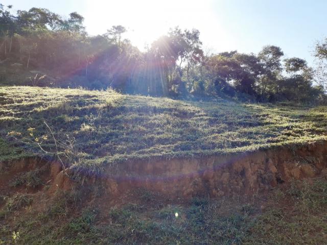 676 - Área de terra no Bugre de 29 hectares - Foto 17
