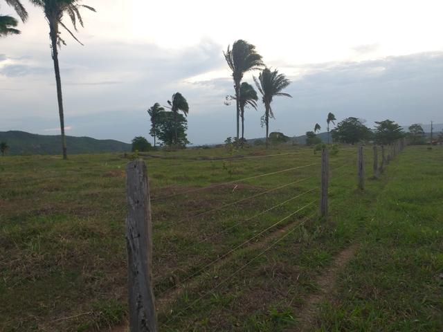 Fazenda com 2 nascentes 8 pasto 5 represas.a 28 km de caldas novas.Go - Foto 2