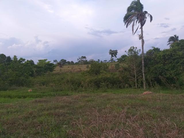 Fazenda com 2 nascentes 8 pasto 5 represas.a 28 km de caldas novas.Go - Foto 5