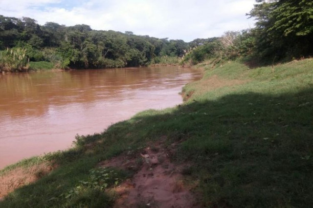 Linda fazenda de 33,4 ha,Jequitibá(Temos varias opções). - Foto 3