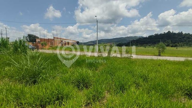 Terreno-À VENDA-Sítio da Serra-Tuiuti-SP - Foto 4