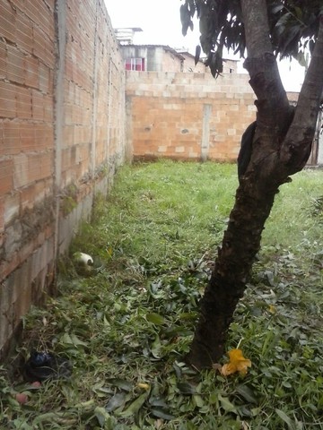 Lote plano 180 m² - B. São Benedito - R$ 170 mil  - Cód. 1503