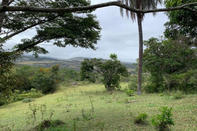 Fazenda de 122 ha, nascente de água cristalina (Temos varias opções). - Foto 3