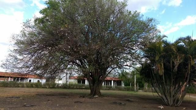 Vendo Fazenda em Missão Velha! - Foto 3