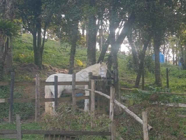 Chacara cinematográfica fundo com represa - Foto 15