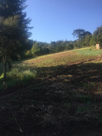 Chácara - Foto 2