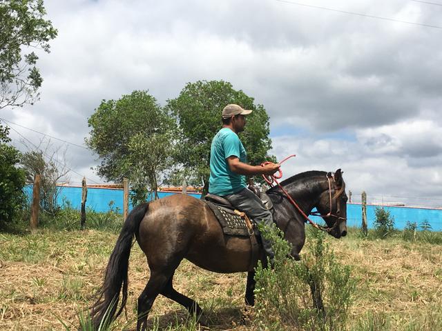 Égua crioula! - Foto 2