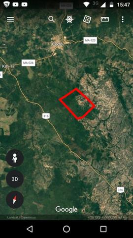 Oportunidade ! 4 mil hectares brutos de dupla aptidão, entre Codó e Caxias ! - Foto 8