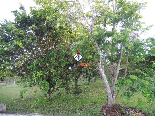 Líder imob - sitio rural para venda, pojuca, 55.000,00 m² - Foto 10