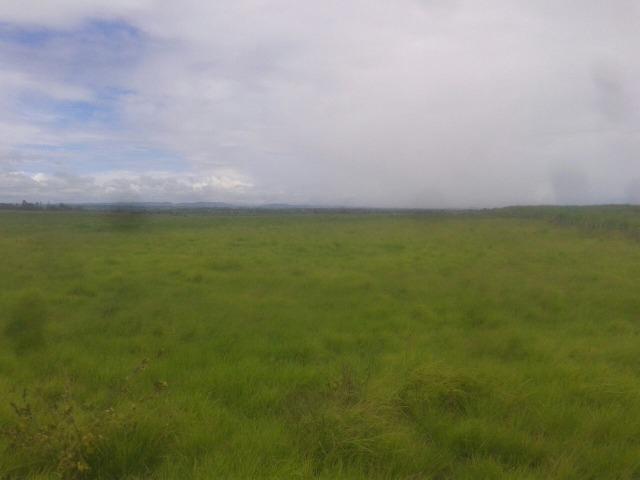 Escada=Vend. 7 mil por Hect=140 Hect=Todos plantado em Cana de Açúcar, só vendemos tudo - Foto 6