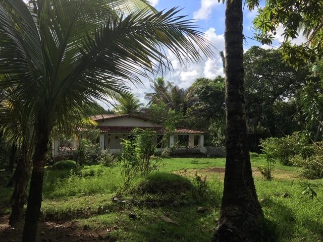 Sitio Cassange com 5132 de área