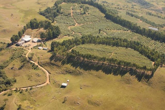 Fazenda em Urubici / chácara área rural - Foto 10