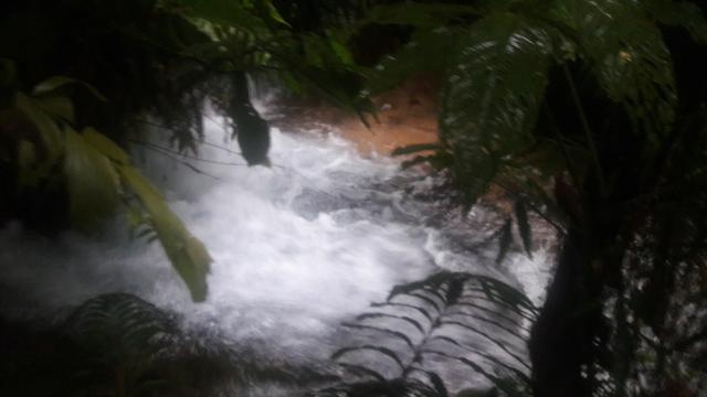 1080 Hectares em Tangará x Paraná, cerrado Tangará-MT - Foto 6