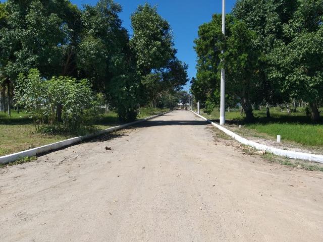 Jô - Cód: 107 - Foto 3