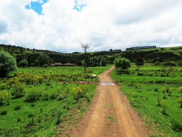 Fazenda em Urubici / chácara área rural - Foto 2