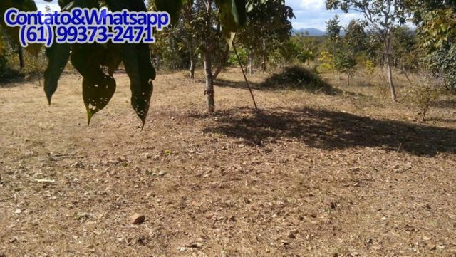 Ótima Casa Mobiliada no Lago de Serra da Mesa, Niquelândia, Goias. Aceita Carro - Foto 12