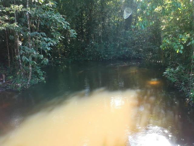 Balneário,Sítio com Restaurante funcionando BR 174 KM30 com 320.000 m² de área - Foto 7