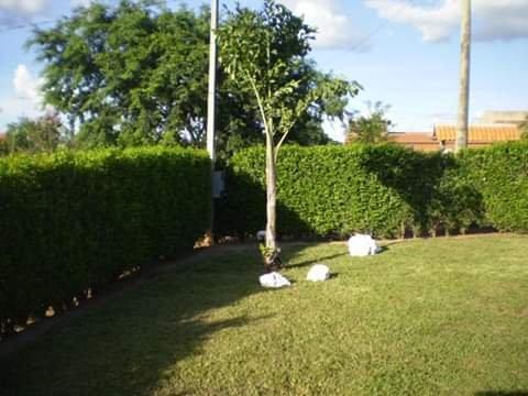 Rancho do barranco - Foto 10
