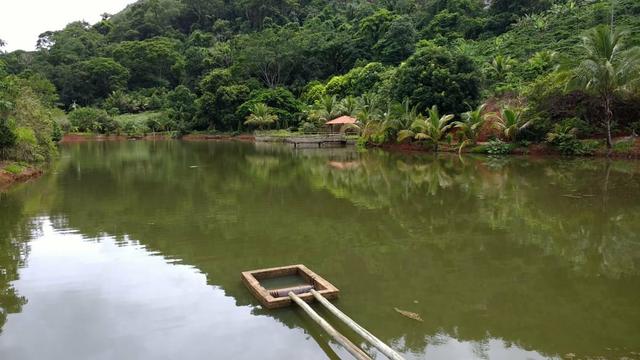 Fazenda Santa Teresa , Somente Avista ou Parcelado!! - Foto 5