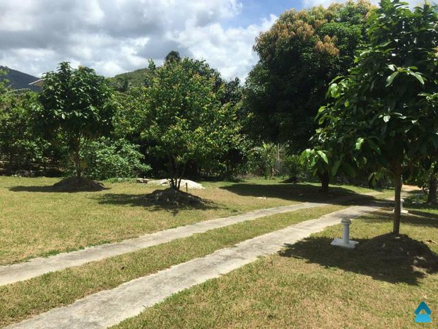 Chácara à venda em São João de Jabuti - Foto 2