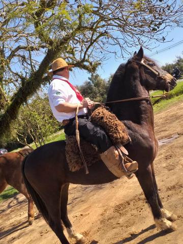 Vendo cavalo emciliado - Foto 4