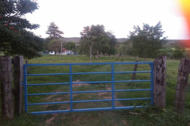 Linda fazenda de 33,4 ha,Jequitibá(Temos varias opções). - Foto 2