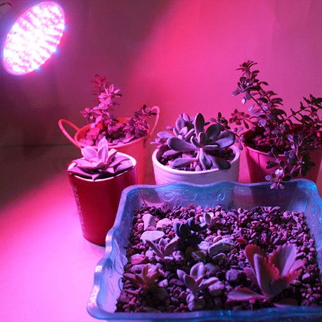 Lâmpada Led Grow Espectro Crescimento Plantas - Foto 4