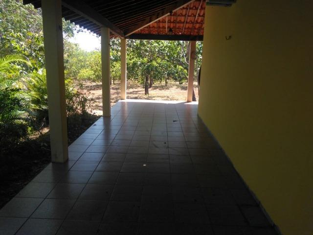 Sitio de 20 hectares, rico em água ótima casa sede e apenas 20 km de Teresina - Foto 14
