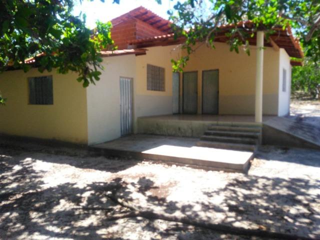 Sitio de 20 hectares, rico em água ótima casa sede e apenas 20 km de Teresina - Foto 10