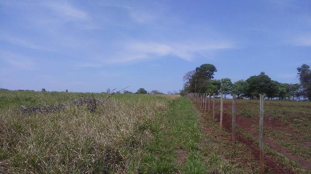 Terenos, MS linda chácara - até para morar - Foto 12