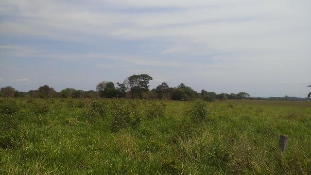 Terenos, MS linda chácara - até para morar - Foto 15