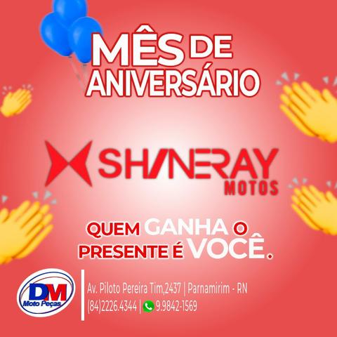 Peça Shineray