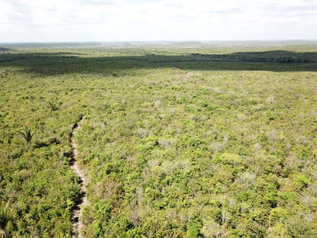Oportunidade ! 4 mil hectares brutos de dupla aptidão, entre Codó e Caxias !