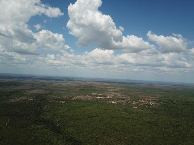 Oportunidade ! 4 mil hectares brutos de dupla aptidão, entre Codó e Caxias ! - Foto 7