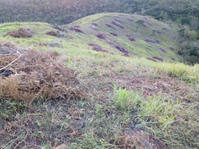 Fazenda em Ubaira-BA - Foto 13