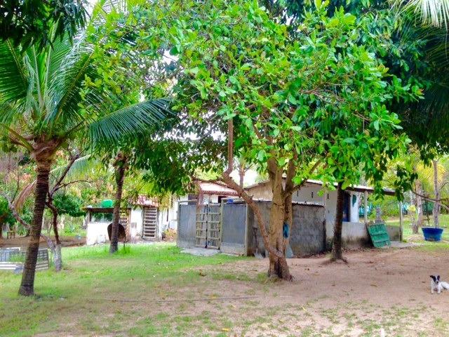 Sitio Coqueiros de Arembepe 20.400 m2 | com piscina - Foto 13
