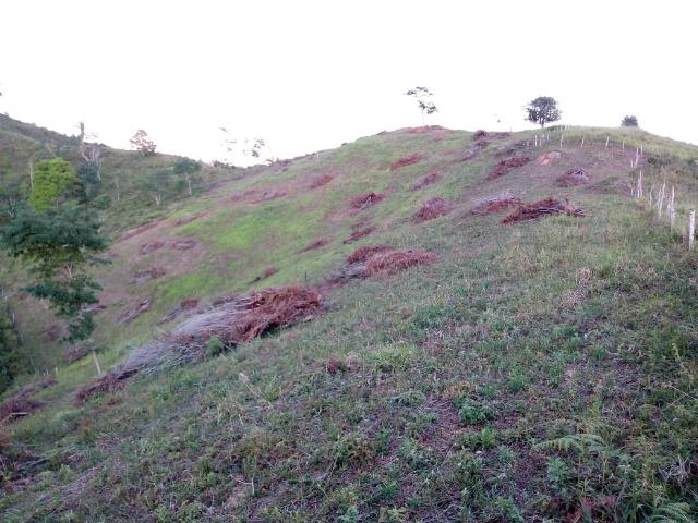 Fazenda em Ubaira-BA - Foto 7