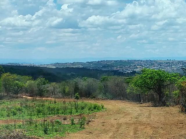 Terreno Rural 20.000 m² - Matozinhos - Foto 2