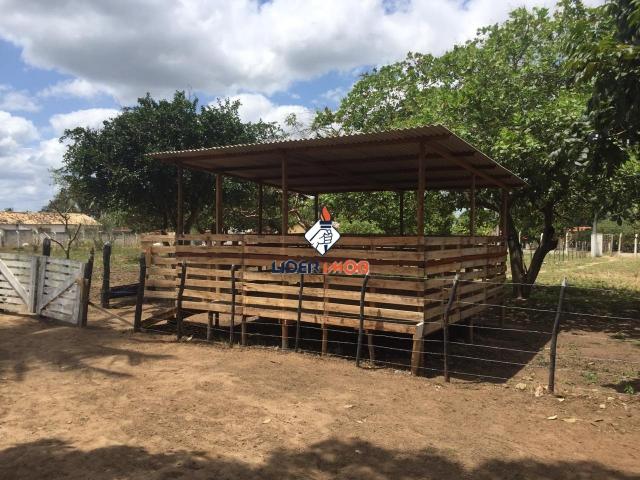 Líder imob - sitio para venda, em são gonçalo dos campos, 21.800,00 m² total. - Foto 10